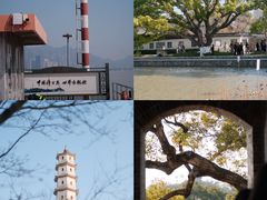 -江心屿景区