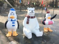 -紫竹院公园冰场