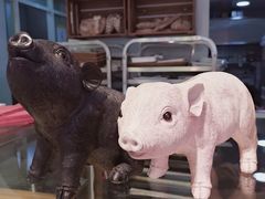 -WHEN PIGS FLY当猪飞