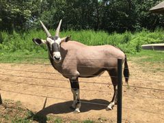 -大连森林动物园