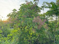 -锦屏山旅游度假区