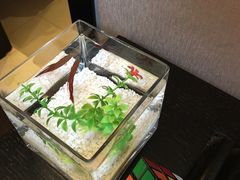 -扬州东关街文昌阁桔子水晶酒店