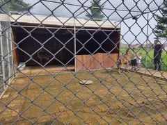 -长白山万达喜来登度假酒店