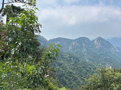 -沂蒙山旅游区云蒙景区(蒙山国家森林公园)