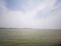 -大湾区中央湿地公园