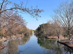 -梁鸿国家湿地公园