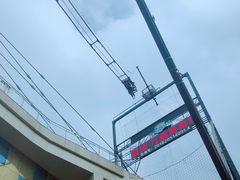 -梦幻奥陶纪景区