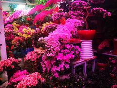 -三旗百汇商品城