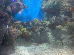 -福州罗源湾海洋世界旅游区