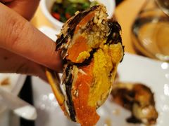 -旺小胖小龙虾