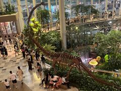 -二刀潮牛(重庆光环购物公园店)