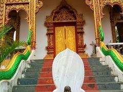 -西双版纳总佛寺