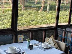 -野蔓果·山野菜(西湖景区·龙井茶田店)