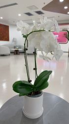 点击看大图 -丰联丽格医疗美容·联合丽格眼整形中心