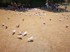 -南通洲际绿博园