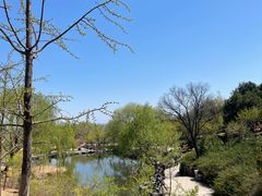 -北京西山国家森林公园