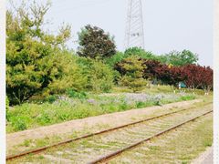 -永定河休闲森林公园