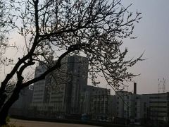 -小城故事(鲅鱼圈店)