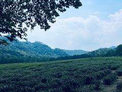 -中国茶叶博物馆(双峰馆区)