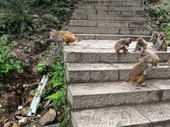 -黔灵山公园