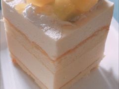 -维尔纳斯·生日蛋糕·动物奶油冰淇淋蛋糕(六里桥店)