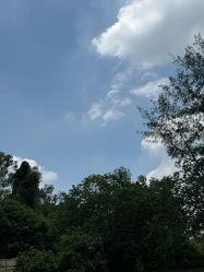 -致友月子会所(麓湖店)