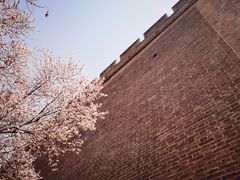 -西安市广仁寺