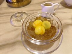 -锦粤宫·精致粤菜(深圳北站店)