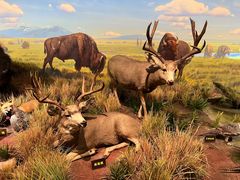 -陕西自然博物馆