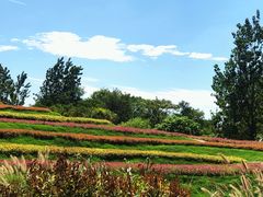 -南通洲际绿博园