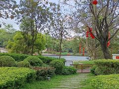 -荔湾湖公园