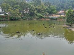 -泉州海丝野生动物世界