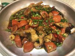 -金龙寨(解西店)