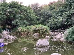 -神仙树公园