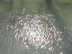 -环城公园
