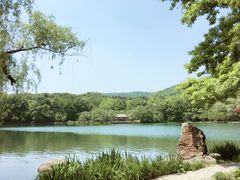 -紫霞湖公园