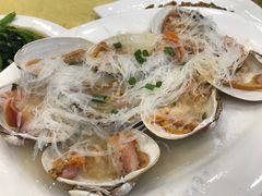 北極貝-鸿达渔港