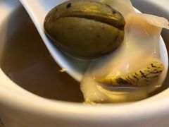 橄榄螺头汤-东海酒家(长平东路店)