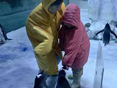 -芜湖新华联大白鲸海洋公园