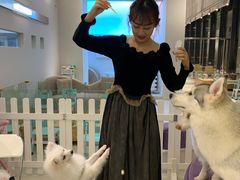 -怪兽屋·羊驼·猫咖·狗咖(俊华广场店)