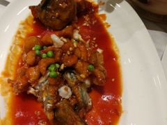 -沪碟·精菜坊(闵行店)