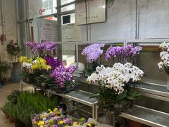 -双季花艺园艺市场(浦东店)