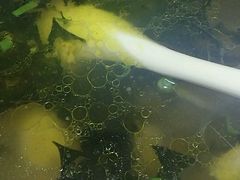 -水香园·中国徽菜名店(紫霞大道店)