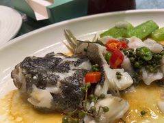 -老伙记海鲜码头(北滘店)