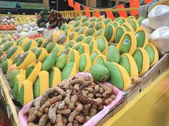 -三亚新鸿港水果一级批发市场