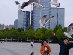 -东港音乐喷泉广场
