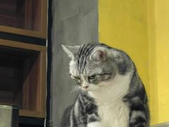 -咖法森林·咖啡  酒吧(天河店)