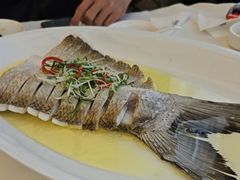 -莆鑫海鲜城(浏河店)