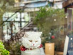 -彳亍咖啡·这里(水湾路店)