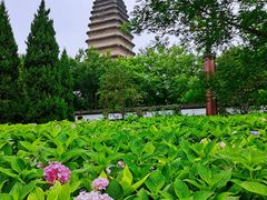 -西安博物院